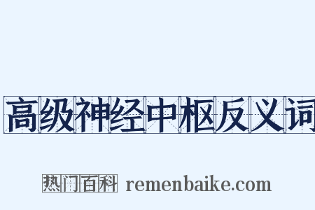 高级神经中枢反义词是什么意思的图片